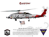 Name: aviation-graphic-seahawk-hsl-49-scorpions.jpg
Views: 334
Size: 48.1 KB
Description: 