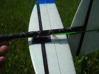Name: 004.jpg
Views: 388
Size: 62.8 KB
Description: Tailfeathers, very euro style.