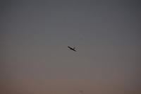 DSC_7989.jpg