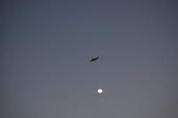 DSC_8050.jpg