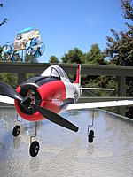 P5211994.jpg