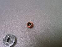 Name: IMAG0987.jpg
Views: 251
Size: 111.0 KB
Description: 