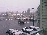 Name: IMAGE_037.jpg
Views: 222
Size: 77.2 KB
Description: car in the yard between the firetrucks