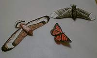 Name: IMAG0119.jpg
Views: 154
Size: 49.9 KB
Description: 
