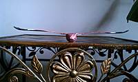 Name: IMAG0117.jpg
Views: 140
Size: 59.7 KB
Description: right turn