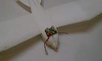 Name: IMAG0124.jpg
Views: 140
Size: 28.0 KB
Description: this will be its "brains" :D