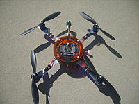 S8303052.jpg
