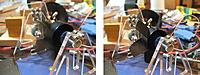 Name: canberr-54-edf-5.jpg
Views: 47
Size: 35.5 KB
Description: some test and trying to balance them