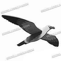 Name: sku_70075_1.jpg
Views: 114
Size: 23.3 KB
Description: looks pretty