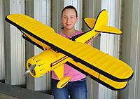 Dynam Waco 002.jpg