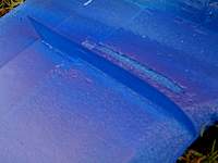 Name: IMG_4375.jpg
Views: 198
Size: 43.5 KB
Description: 
