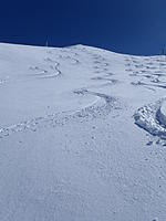 Name: P3030231.jpg
Views: 3
Size: 126.0 KB
Description: 