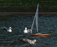 Name: a3891764-65-2011.03.12.0709.1024.jpg
Views: 58
Size: 133.2 KB
Description: photo by Craig_C