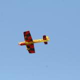 Contrasting bottom color scheme is very easy to see in the air.