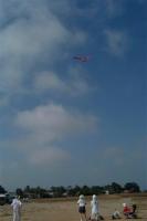 Name: DSCF0002 (Small).JPG
Views: 142
Size: 10.9 KB
Description: 