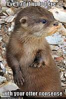 Name: otter.jpg
Views: 75
Size: 65.7 KB
Description: 