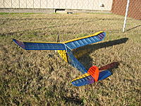 Name: Widgeon 055.jpg
Views: 103
Size: 260.5 KB
Description: 