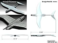 Name: WindSkimmer DPF 1.JPG
Views: 172
Size: 49.1 KB
Description: 