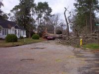 Name: picture_003.jpg
Views: 407
Size: 105.3 KB
Description: 1 big tree + 1 standard size car = compact convertible