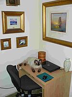 Name: P1050317.jpg
Views: 134
Size: 100.7 KB
Description: Took only 5 days and the new "Lucyfer" one is as at home.