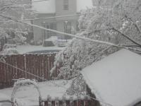 Name: P1010006.jpg
Views: 78
Size: 92.3 KB
Description: 