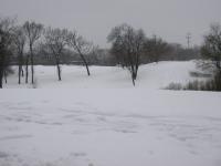 Name: snow1.jpg
Views: 104
Size: 85.0 KB
Description: 