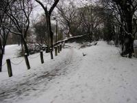 Name: snow4.jpg
Views: 68
Size: 89.6 KB
Description: 