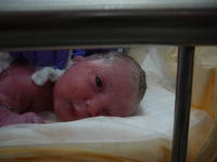 Name: P1050432.jpg
Views: 190
Size: 39.5 KB
Description: 