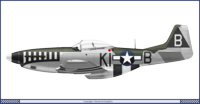 Name: P51D_USA_55FS.png
Views: 463
Size: 135.6 KB
Description: 