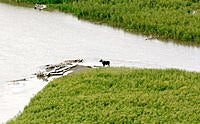 Name: .jpg
Views: 19
Size: 226.7 KB
Description: The view below was filled with lots of wildlife, including moose. (Taken with a telephoto lens).