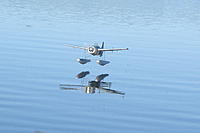 Name: P5110007 (1)  wildcat.jpg
Views: 417
Size: 88.5 KB
Description: 