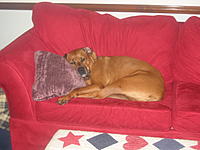 Name: IMG_0507.JPG
Views: 25
Size: 140.0 KB
Description: 