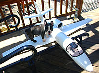 Name: Torbo Jet 011.jpg
Views: 55
Size: 295.2 KB
Description: 