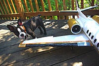 Name: TurboJet Guinness 024.jpg
Views: 35
Size: 274.4 KB
Description: 