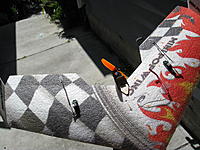 IMG_5349.jpg