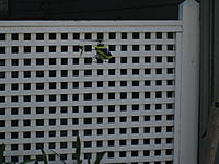 Name: IMG_5902.jpg
Views: 66
Size: 113.6 KB
Description: 