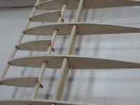 Name: AX & Krishna 048.jpg
Views: 292
Size: 44.9 KB
Description: Detail of ribs and spars