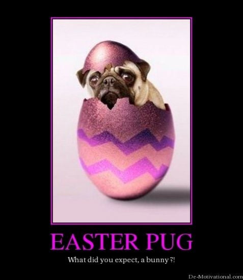... Easter Post 24574064 Attachment Easter-Pug-Motivational-Poster.jpg