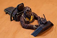 Name: pilot_painted10.jpg
Views: 510
Size: 40.3 KB
Description: 