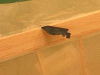 Name: IMG_3148.JPG
Views: 2269
Size: 78.6 KB
Description: 
