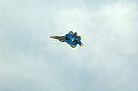Name: 16_some_scars.jpg
Views: 72
Size: 31.4 KB
Description: flying the same as before, looking... well, this is another thing