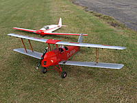 Name: Picture 008.jpg
Views: 98
Size: 312.7 KB
Description: 'Pete the pilot' is confused as he's normally sitting in the rear cockpit of the Tiger!