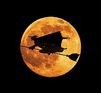 Name: witch_0.jpg
Views: 29
Size: 75.6 KB
Description: 