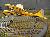 Name: Super Cub 001.jpg
Views: 11
Size: 215.5 KB
Description: Micro Super Cub by Flyzone