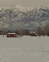 Name: Dec2012 - TreePlane.jpg
Views: 30
Size: 13.5 KB
Description: Plane int the tree