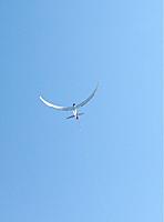 Name: ImageUploadedByTapatalk1347765470.268678.jpg
Views: 62
Size: 78.7 KB
Description: 