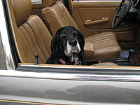 Name: zzzzmerc 009.jpg
Views: 107
Size: 69.1 KB
Description: 
