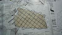 Name: DSCN0594.jpg
Views: 41
Size: 169.7 KB
Description: GG spread and both sides applied to fin.