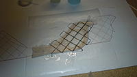 Name: DSCN0652.jpg
Views: 33
Size: 86.2 KB
Description: Cf wetted out and both sides laid up. A bit of rubbing out then on to the press.