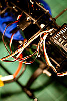 Name: DSC_6640.jpg
Views: 98
Size: 52.5 KB
Description: The shorted elevatoer servo wire.  This could have been ugly.  The whole wire assemble was bundled much to tight from the factory